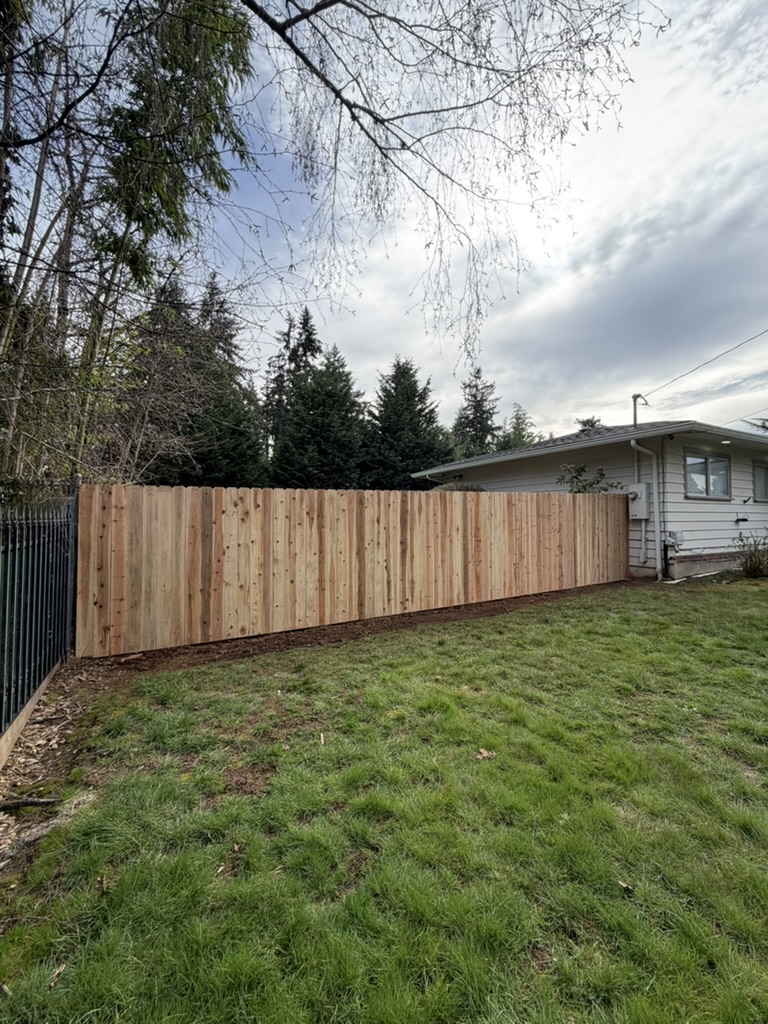 Cedar fence side yard