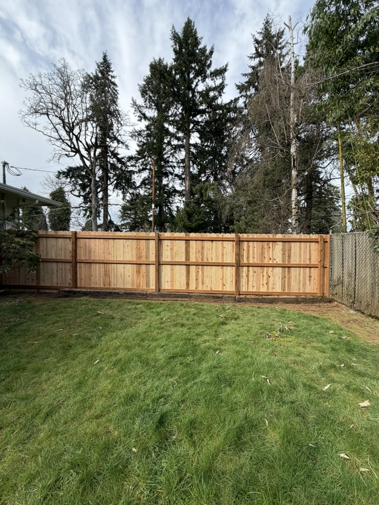 New wood fence