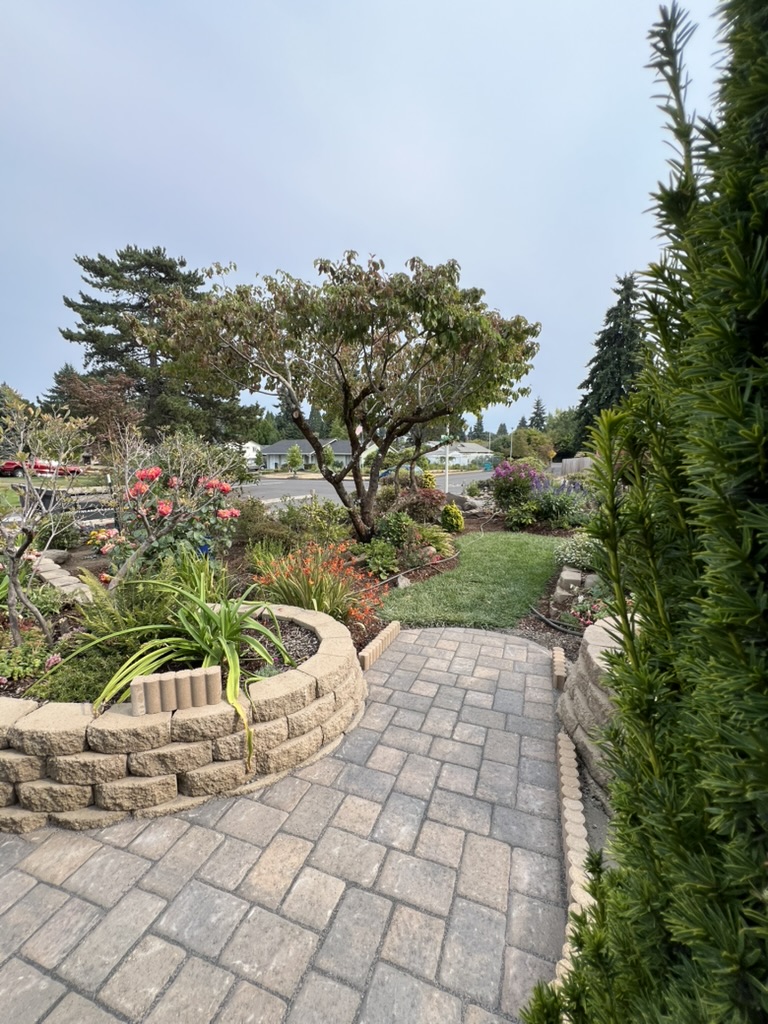 Garden paver walkway