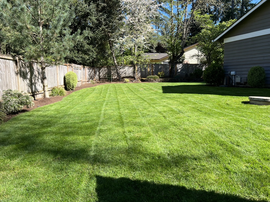Large maintained lawn
